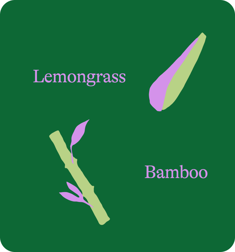 Lemongrass Bamboo Rice with Miso & Greens (one pack)